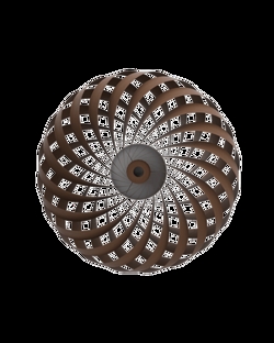 TR5 Wandleuchte, Birke/Braun, 60 x 20 cm