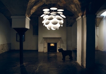 Discoco Giant, weiß