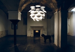 Discoco Giant, weiß