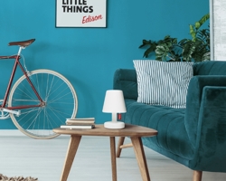 Petit Lampe - große Persönlichkeit