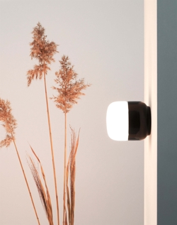 Ohm 100/110 Deckenleuchte / Wandleuchte, schwarz/matt opal