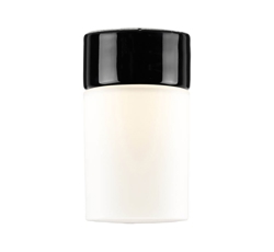 Opus 100/175 Decken-/Wandleuchte, schwarz