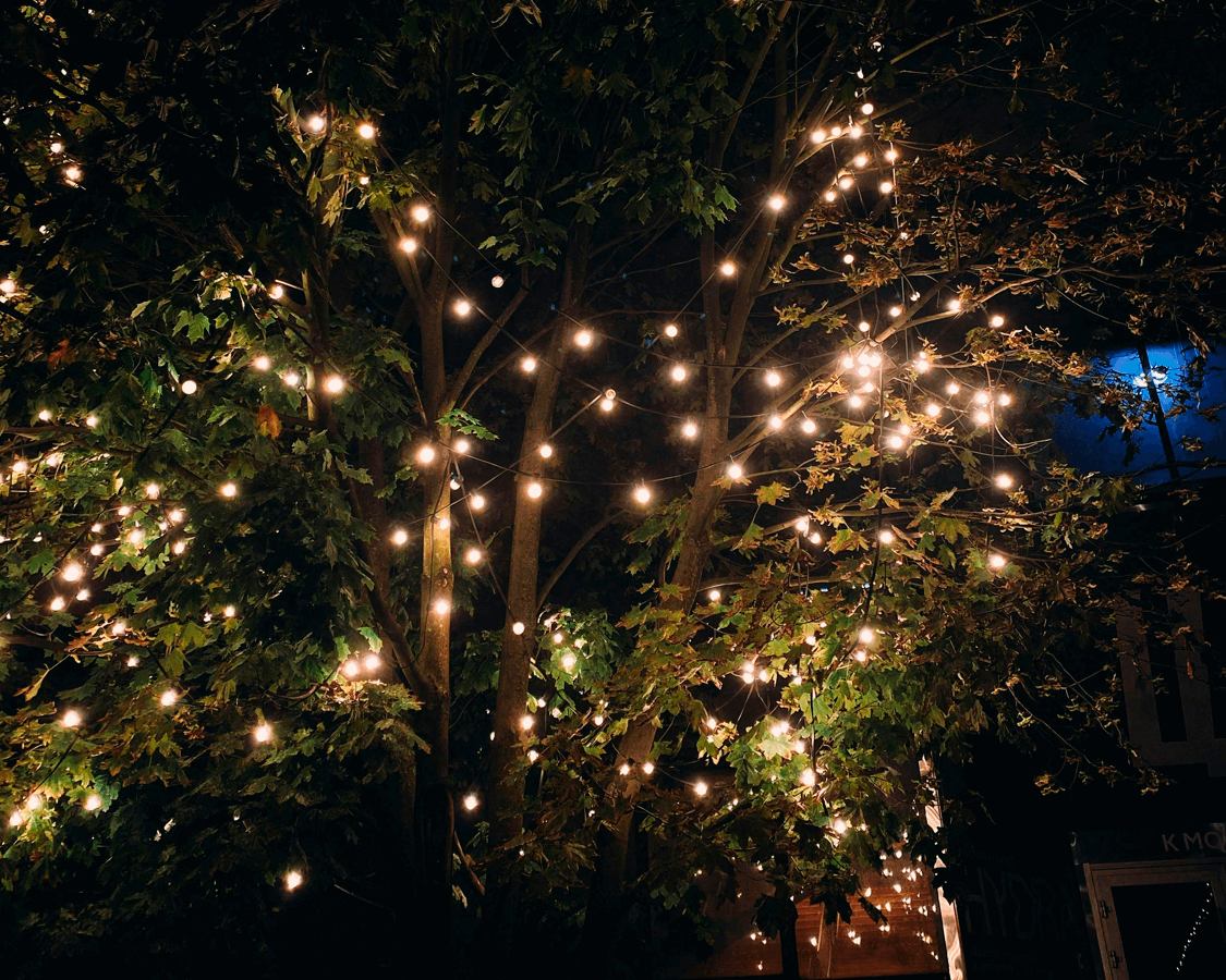 Licht in Bäumen - finden Sie Lichterketten für die Bäume im Garten bei Lamper-shop.de