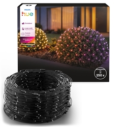 Philips Hue Festavia Lichternetz m/250 LED WCA (3 Meter)