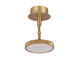 Asteria Spot Wand-/Deckenleuchte, Messing