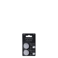 CR2477 Batterie, 3V, 900mAh, 2er-Pack