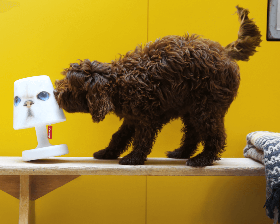 Kleiden Sie Ihre Edison the Petit mit einer Copper Cappie | Kaufen Sie Fatboy Schirm bei Lamper-shop.de