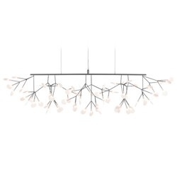 Heracleum III Linear, Nickel