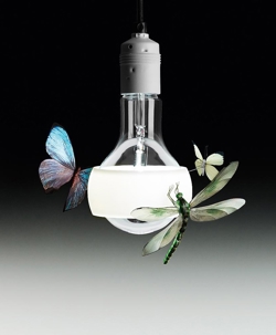 Johnny B. Butterfly Pendelleuchte