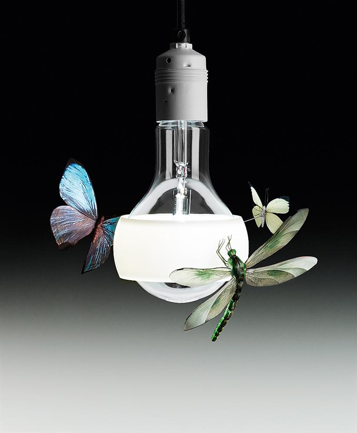 Johnny B. Butterfly Pendelleuchte