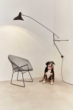 Mantis BS2 Wandleuchte, schwarz