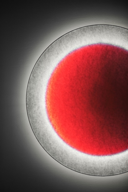 MOODMOON R85 Wandleuchte