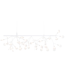 Heracleum III Endless, weiß