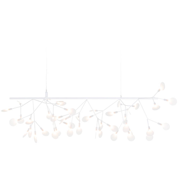 Heracleum III Endless, weiß