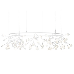 Heracleum III The Big O, weiß