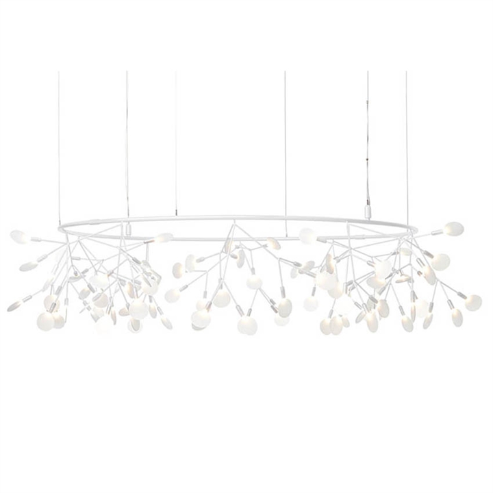 Heracleum III The Big O, weiß